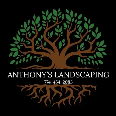 Anthony’s landscaping