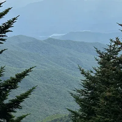 Mountain Mommas Cleanings