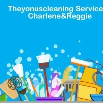 Theyonuscleaning