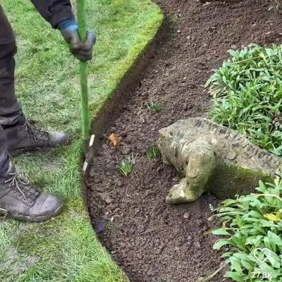 ToppTier1 Lawn/Property Maintenance