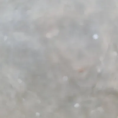 Rewi