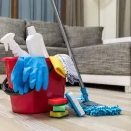 Dama cleaning services