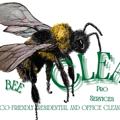 BeeClean Pro Services