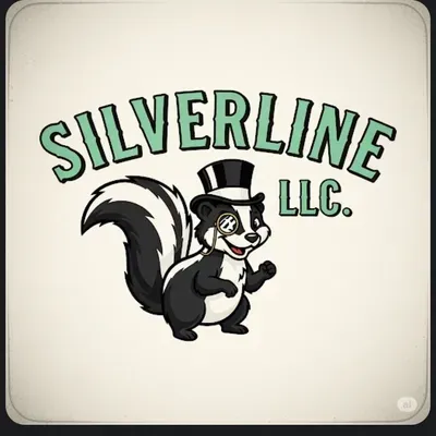 Silverline LLC