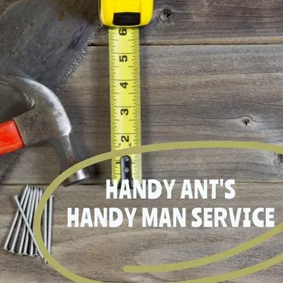 Handy Ant's Handy man service