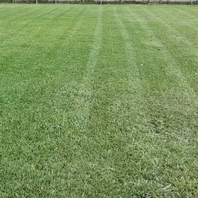 jrods lawn care