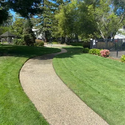 Always Green Lawn & Tree Service