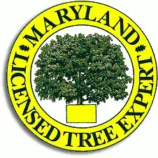 D.E.W. Lawn & Tree Service