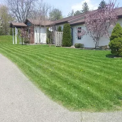 D & R Custom Home and Lawn Maintenance