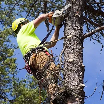 Nic's Works LLC Tree Service