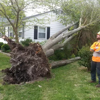 Stumpbusters Tree Service LLC.