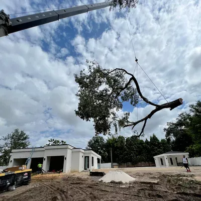 Flynn's Tree Pros