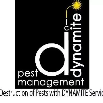 Dynamite Pest Management