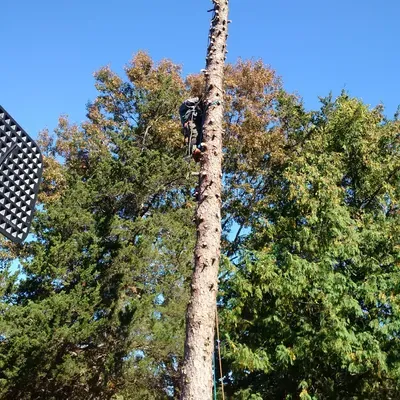 Ross Tree and Contracting, Inc.