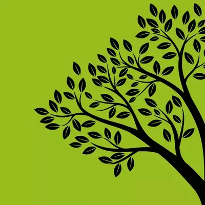 Agosto Landscaping Services