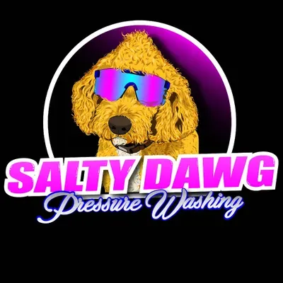 Salty dawg pressure washing llc