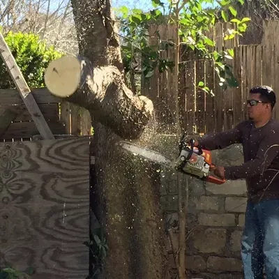 Lupe's Tree Service