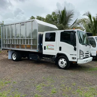 Villatoro Tree Service