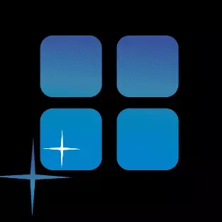 Clear Advantage Window Service