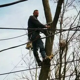 Mallard Tree Service