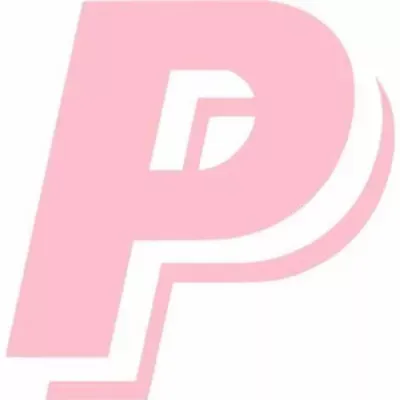 PAINTING PRO CONTRACTORS