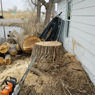 J&E Tree Service