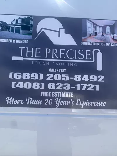 The Precise Touch Painting