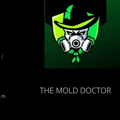 NEW IMAGE MOLD DOCTORS LLC