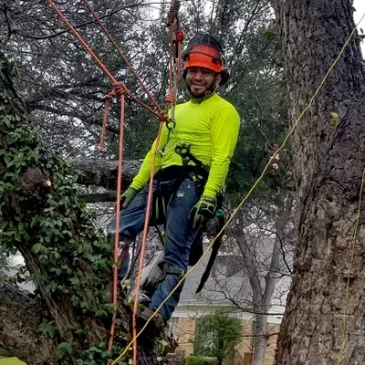 True Tree Masters