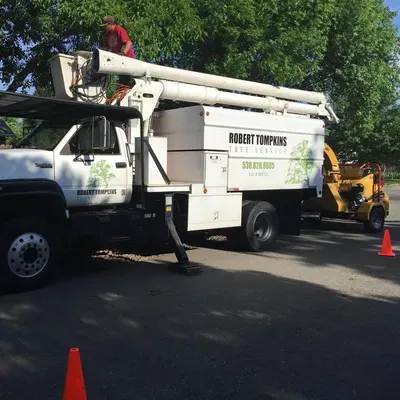 Robert Tompkins Tree Service