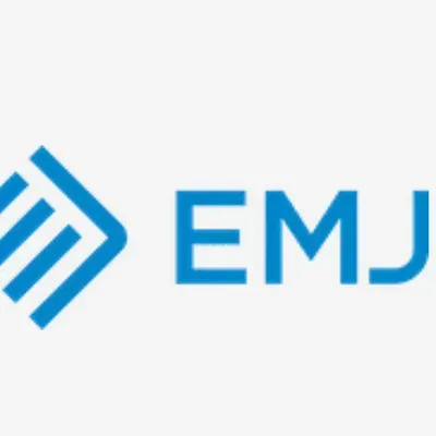 123 EMJ REMODELING & PAINTING
