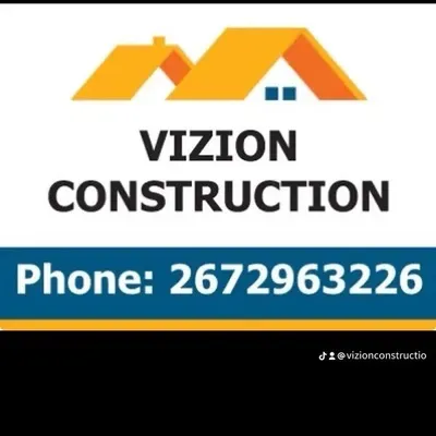 Vizion Constitution