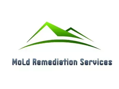 Mold Remediation Service