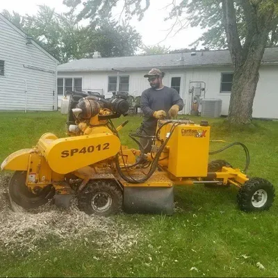 JC Tree Service / Stump Grind