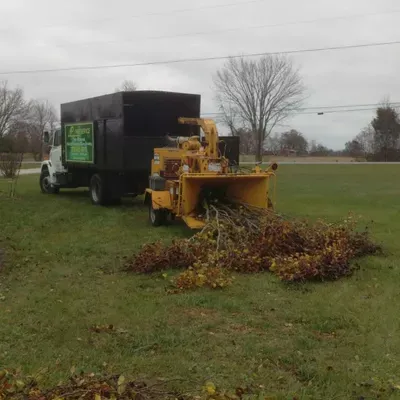 AP Tree Service LLC