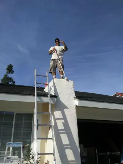 Collins Painting