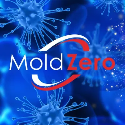 Mold Zero