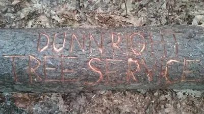 Dunn Right Tree service