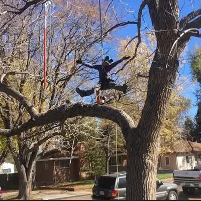 Blue Treeper Arbor Care
