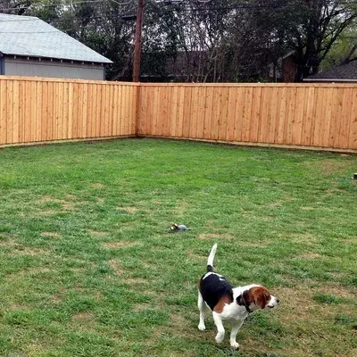The Colorado Fence Company
