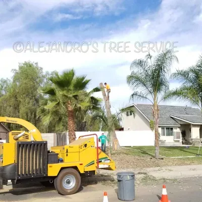 ATS TREE SERVICE