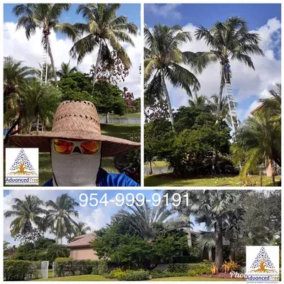 Advanced Tree Services & Property Maintenance LLC