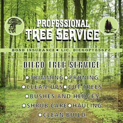 DIEGO P. TREE SERVICE