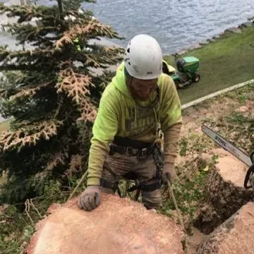Isaac and Pals Tree Service, LLC