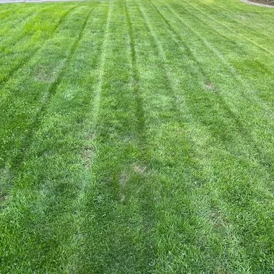 Professional Gs Landscaping