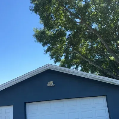 Reece's Tree & Landscaping