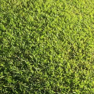 Lakeside lawncare