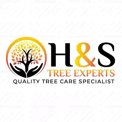 H&S Tree Experts