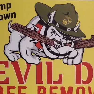 Devil dog tree trimming services  and land  cleaning
