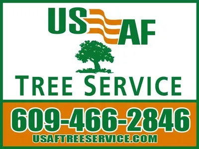 USAF Tree Service